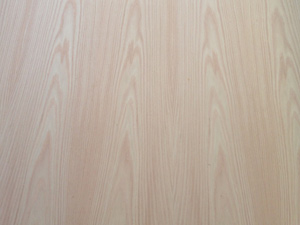 RED OAK-8