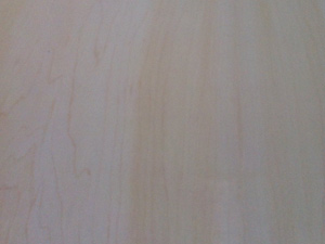 Maple-1