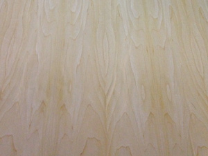 Maple-2