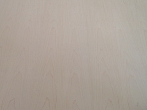 Maple-7