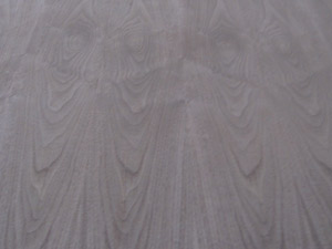 Walnut-4