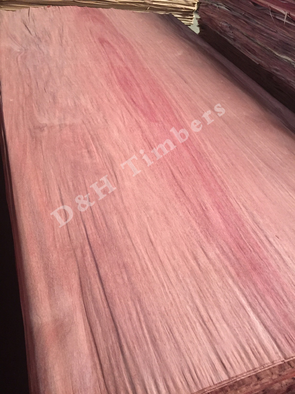 Natural Veneers-7