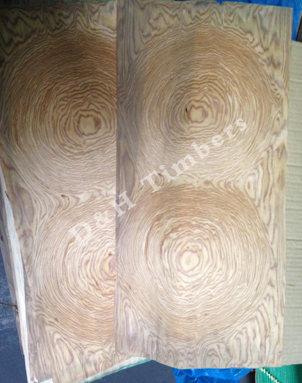 Engineered Veneers-6 Engineered Veneers-6
