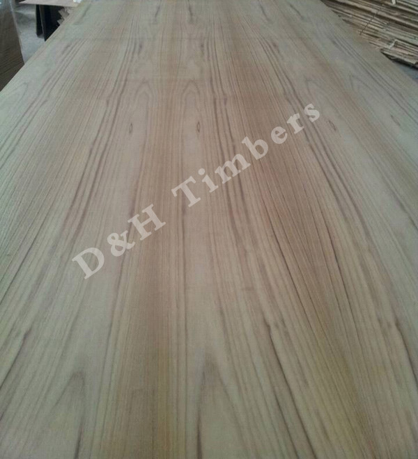 teak-20 teak-20