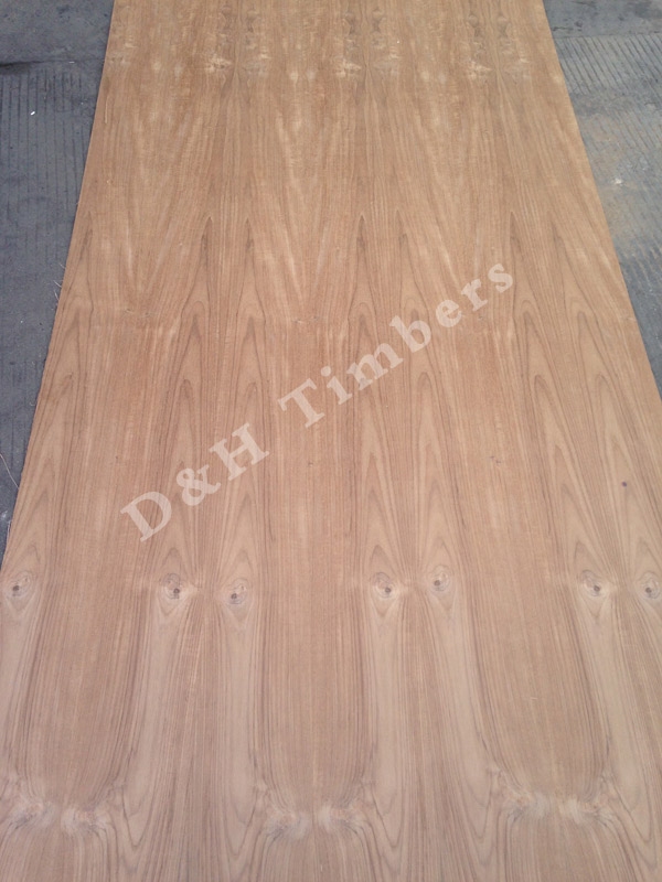 teak-22 teak-22