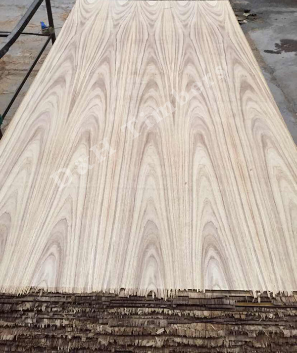 teak-23 teak-23